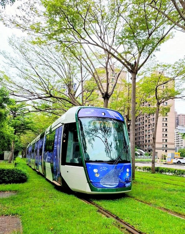 2026/08/01披著鯨鯊彩繪的主題輕軌列車， 8月1日起穿梭於高雄港灣與城市之間