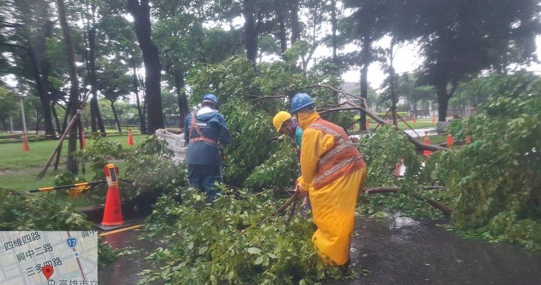 2026/08/24豪雨造成路樹倒塌及斷枝  公園處即時處理加速道路復原